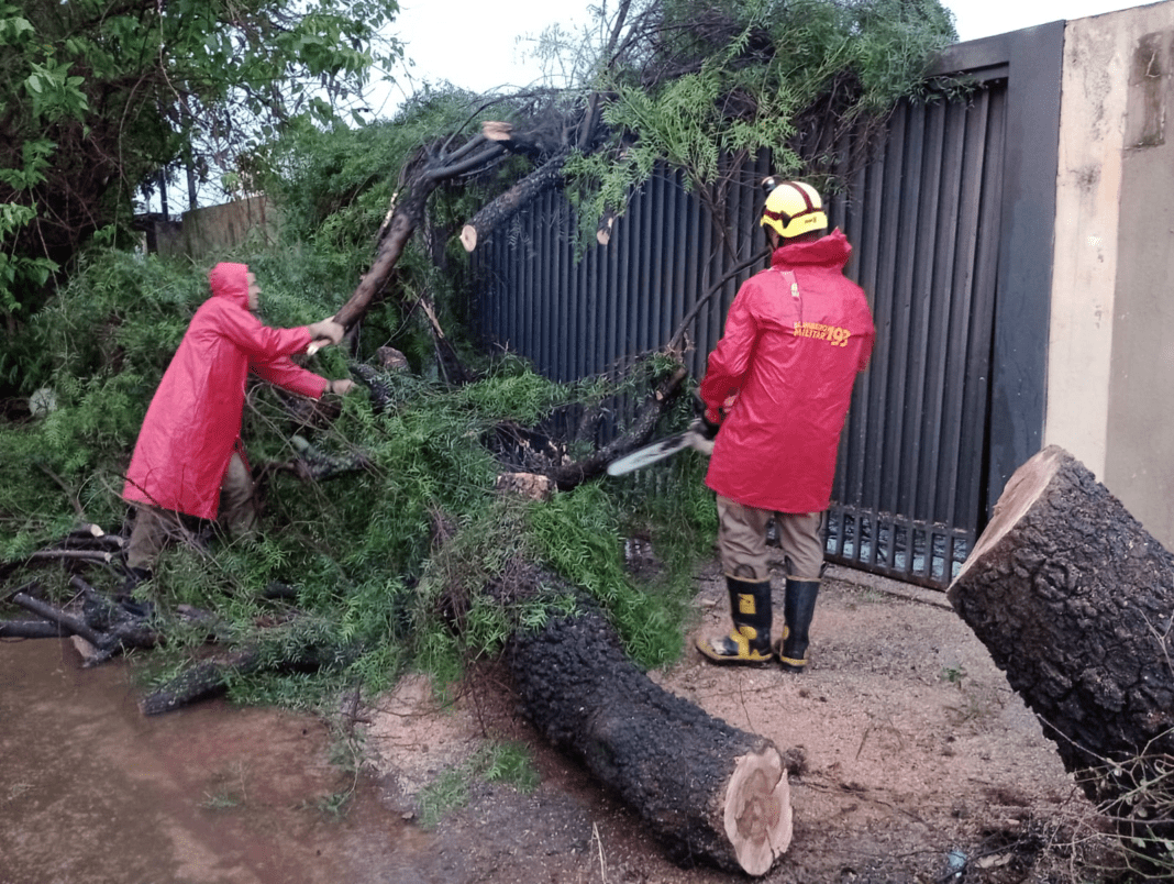 Forte Chuva E Vendaval Provocou Alagamento E Quedas De Arvores Em